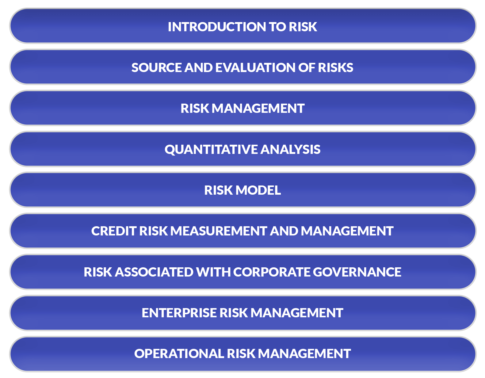 Risk Management: CA Final Elective Papers Syllabus Overview