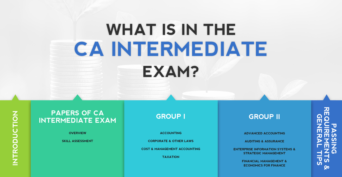 What is in the CA Intermediate May 2019 Exam?